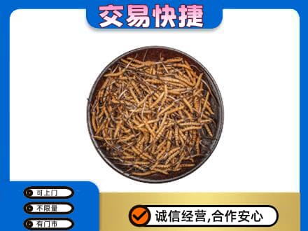 泰安高价回收散虫草