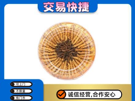 泰安礼品回收虫草礼盒.jpg